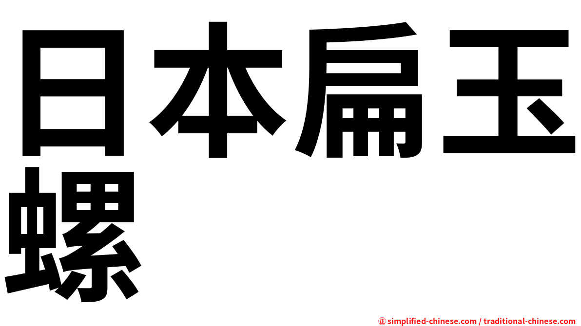 日本扁玉螺