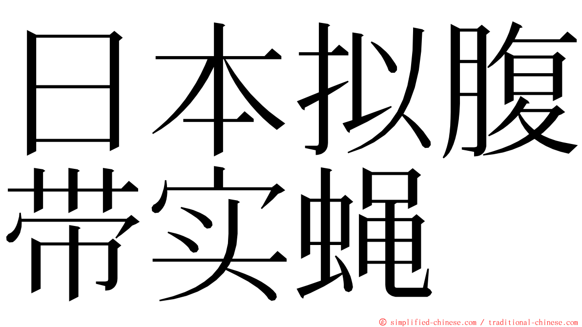 日本拟腹带实蝇 ming font