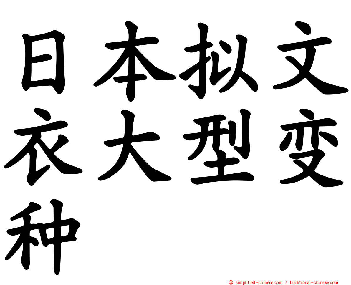 日本拟文衣大型变种