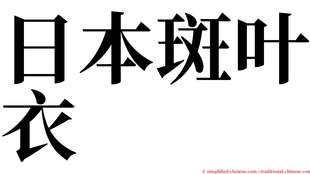 日本斑叶衣 serif font