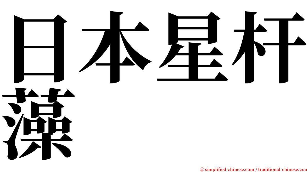 日本星杆藻 serif font