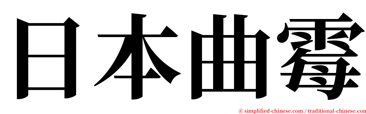 日本曲霉 serif font