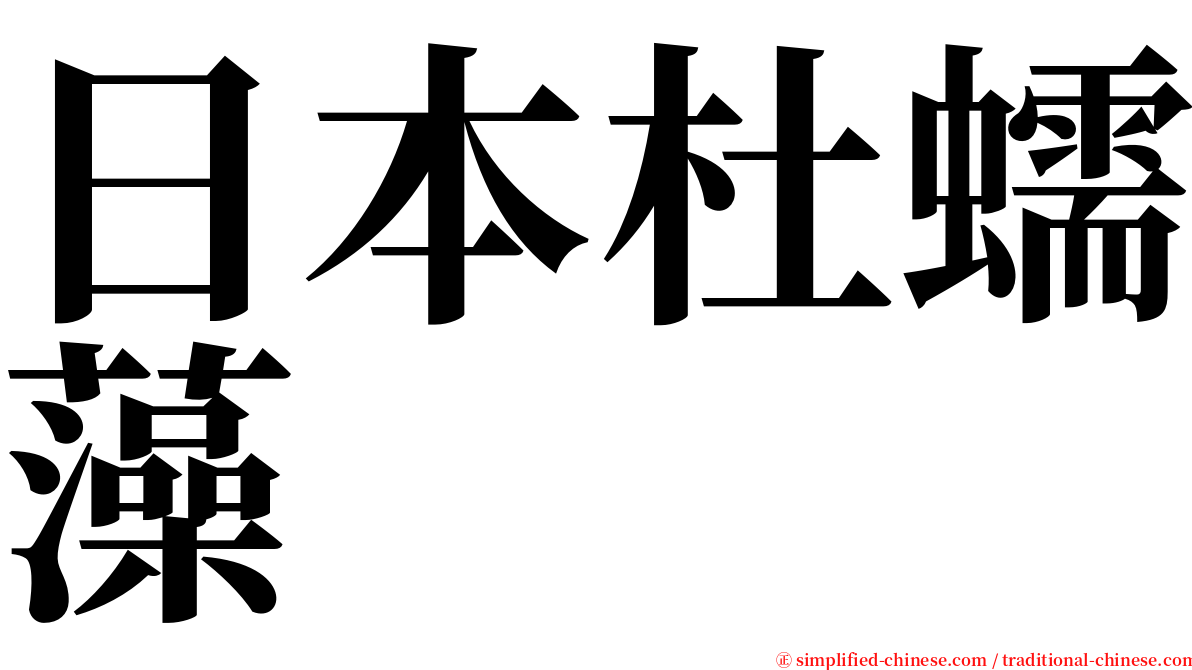 日本杜蠕藻 serif font