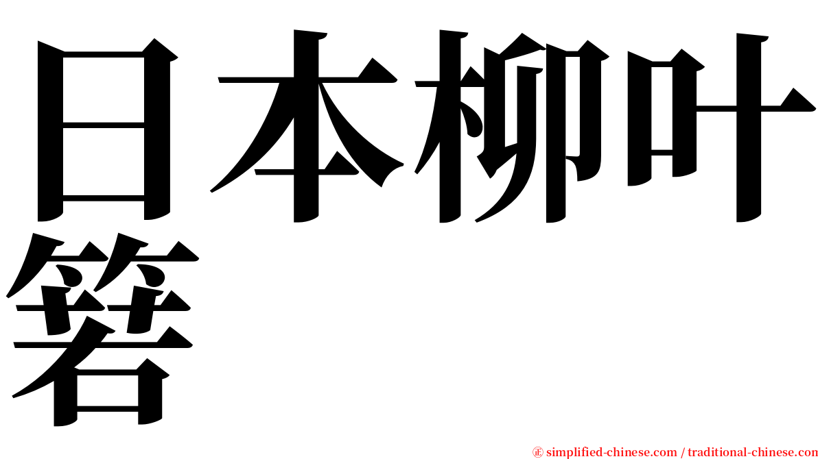 日本柳叶箬 serif font