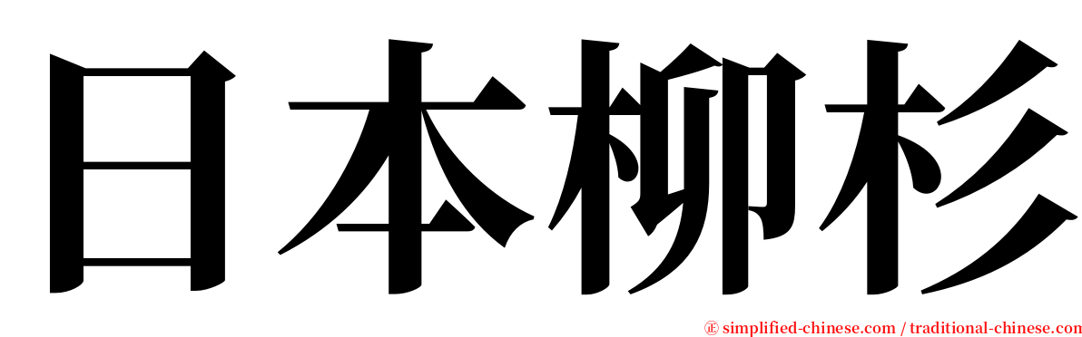 日本柳杉 serif font