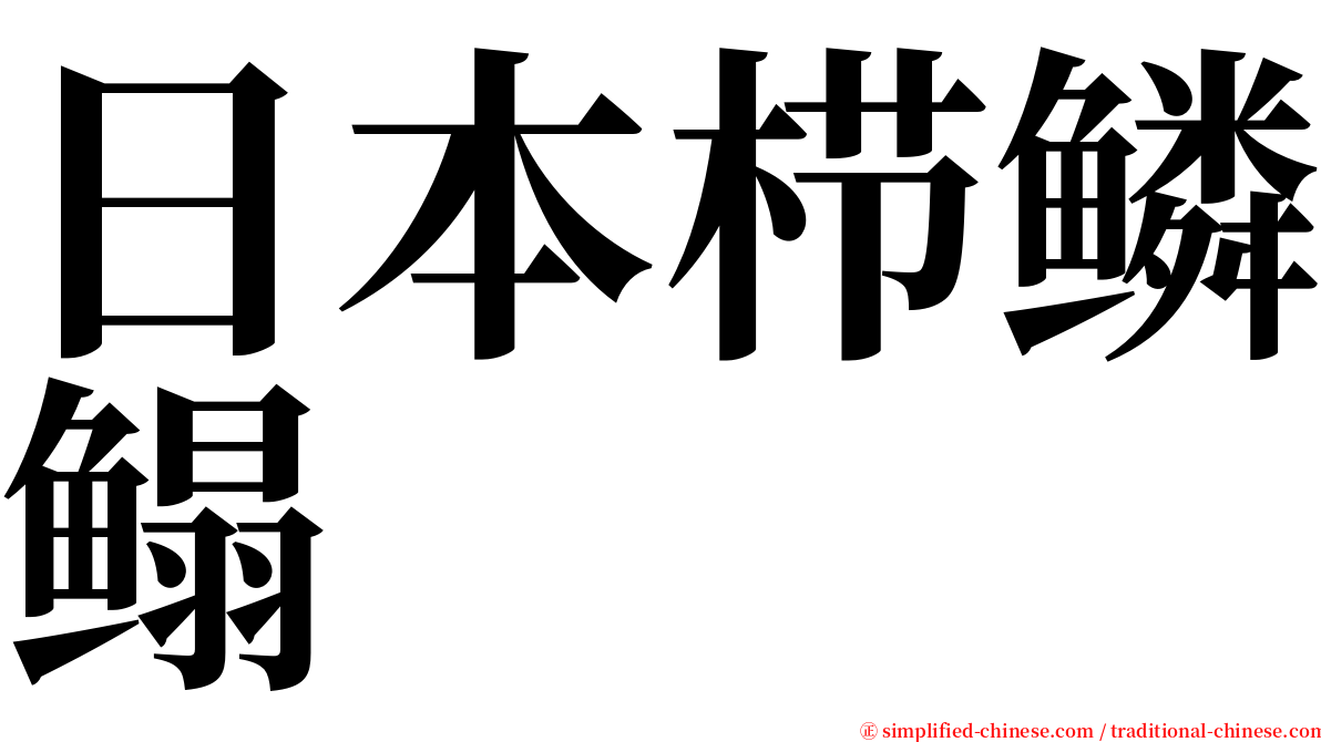 日本栉鳞鳎 serif font