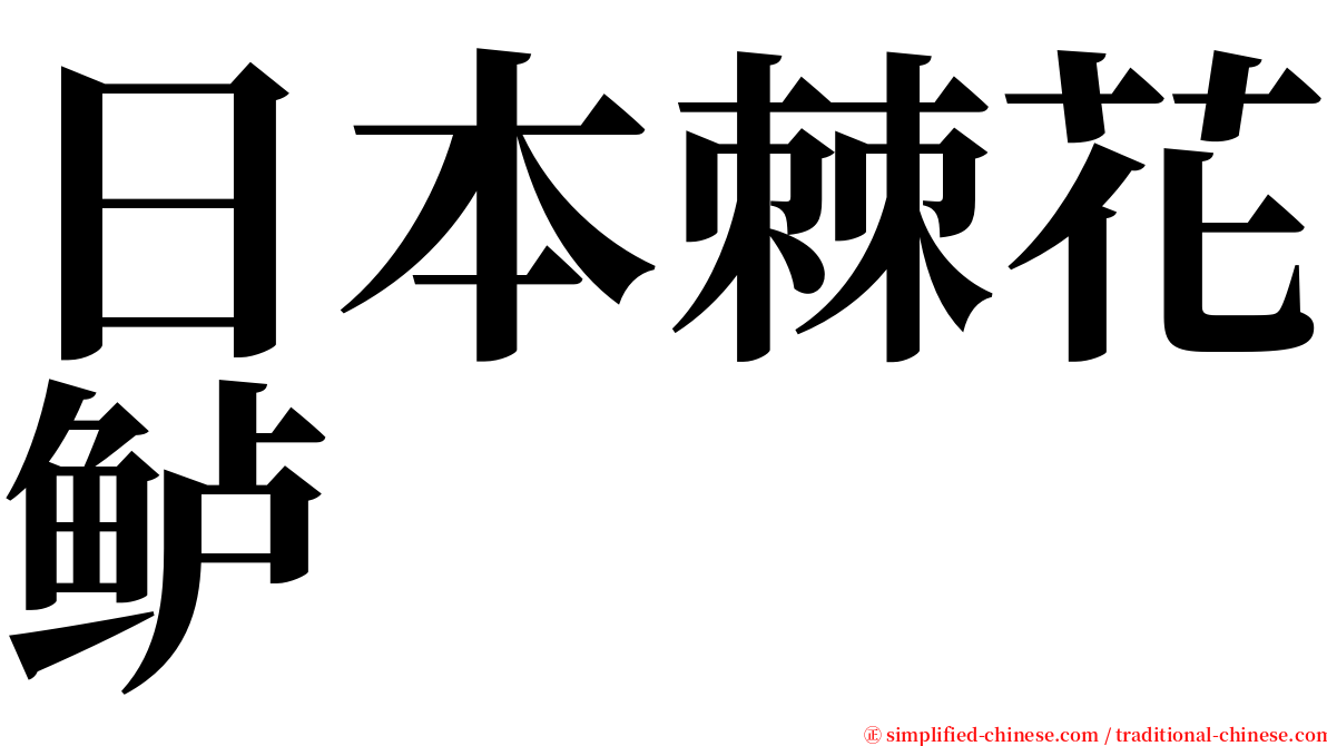 日本棘花鲈 serif font