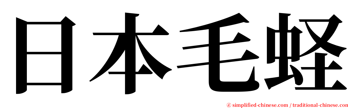 日本毛蛏 serif font