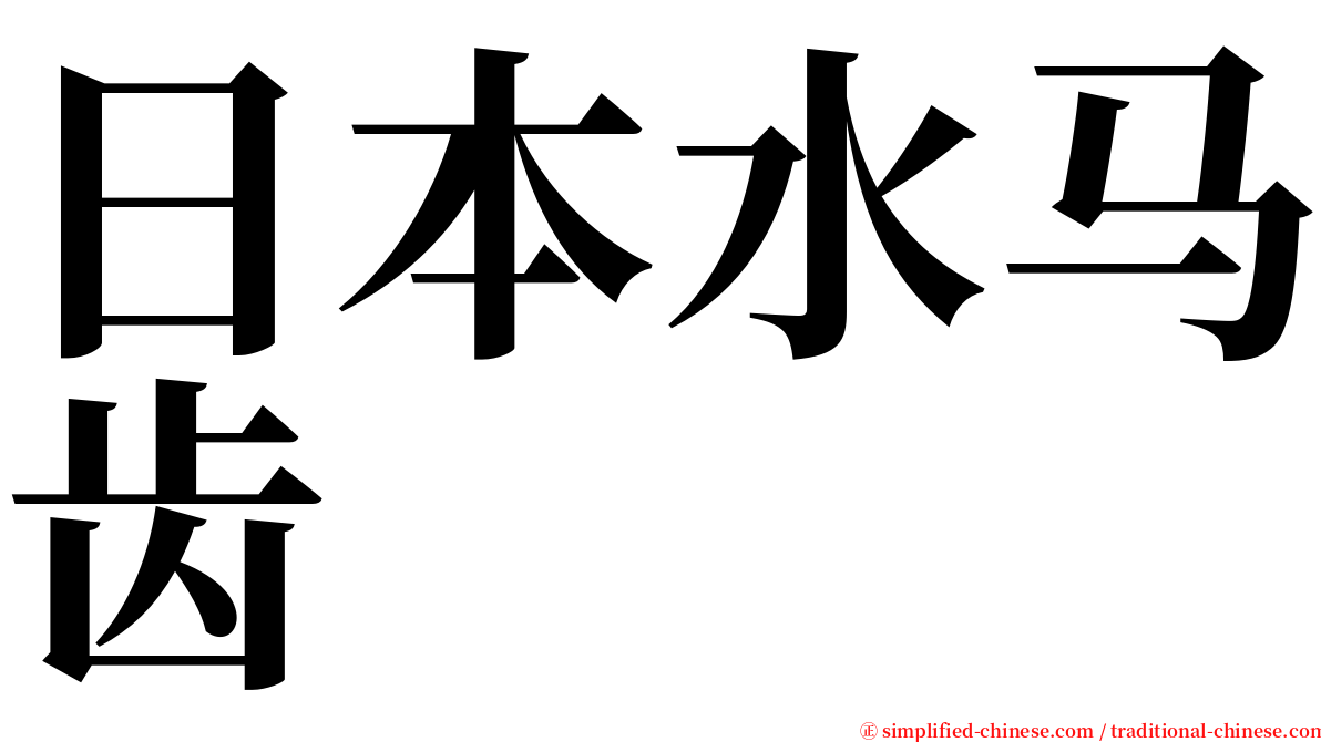 日本水马齿 serif font