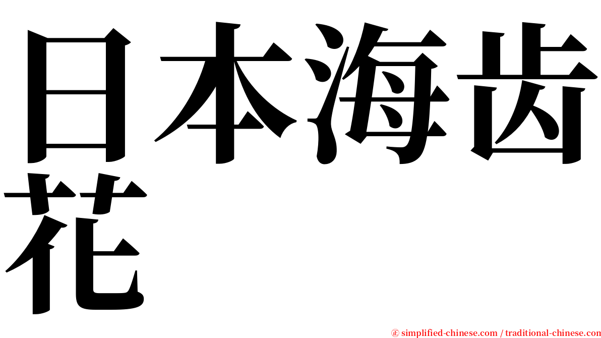 日本海齿花 serif font