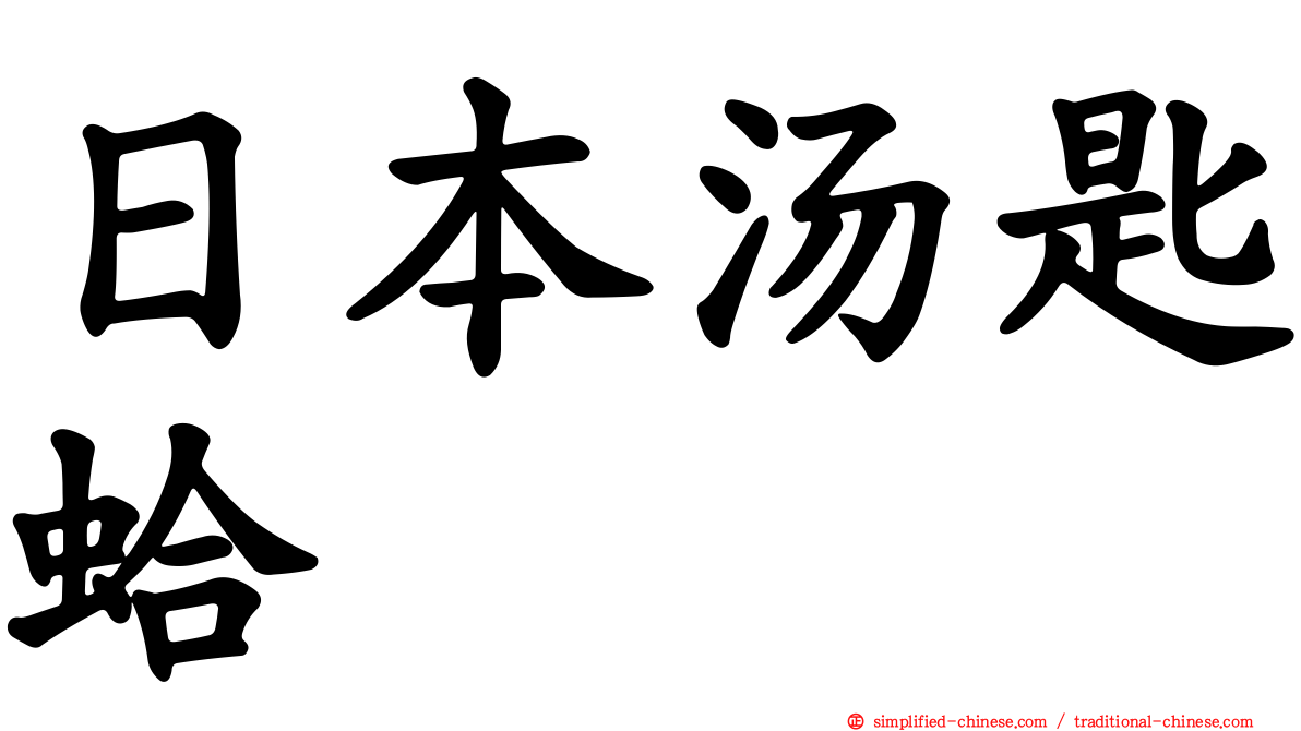 日本汤匙蛤