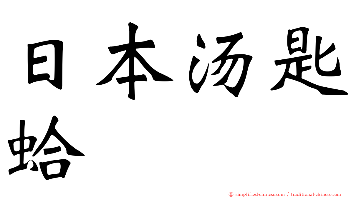 日本汤匙蛤