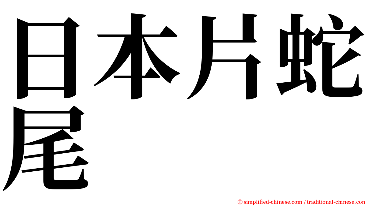 日本片蛇尾 serif font