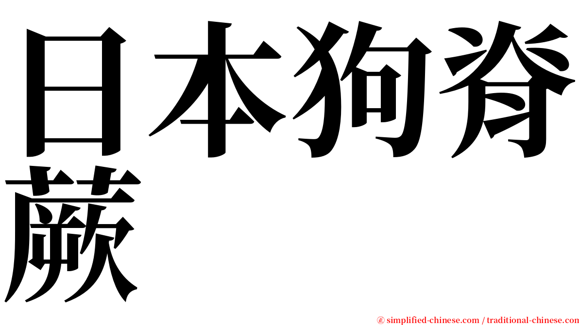 日本狗脊蕨 serif font