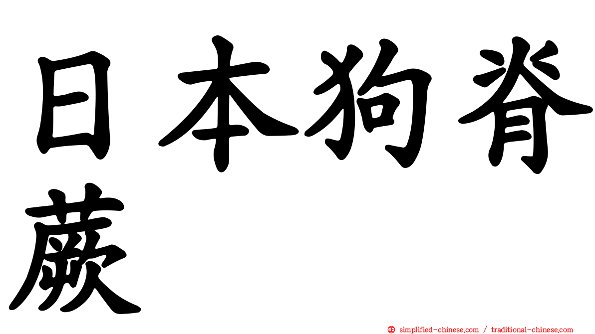 日本狗脊蕨