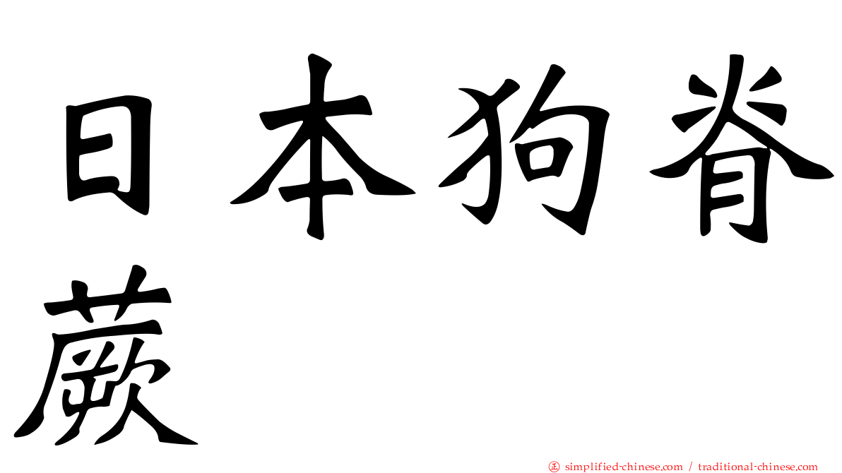 日本狗脊蕨