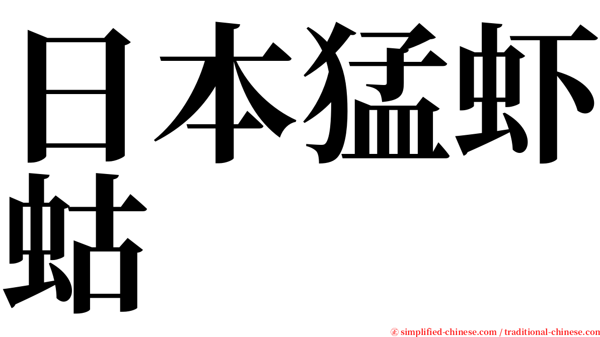 日本猛虾蛄 serif font