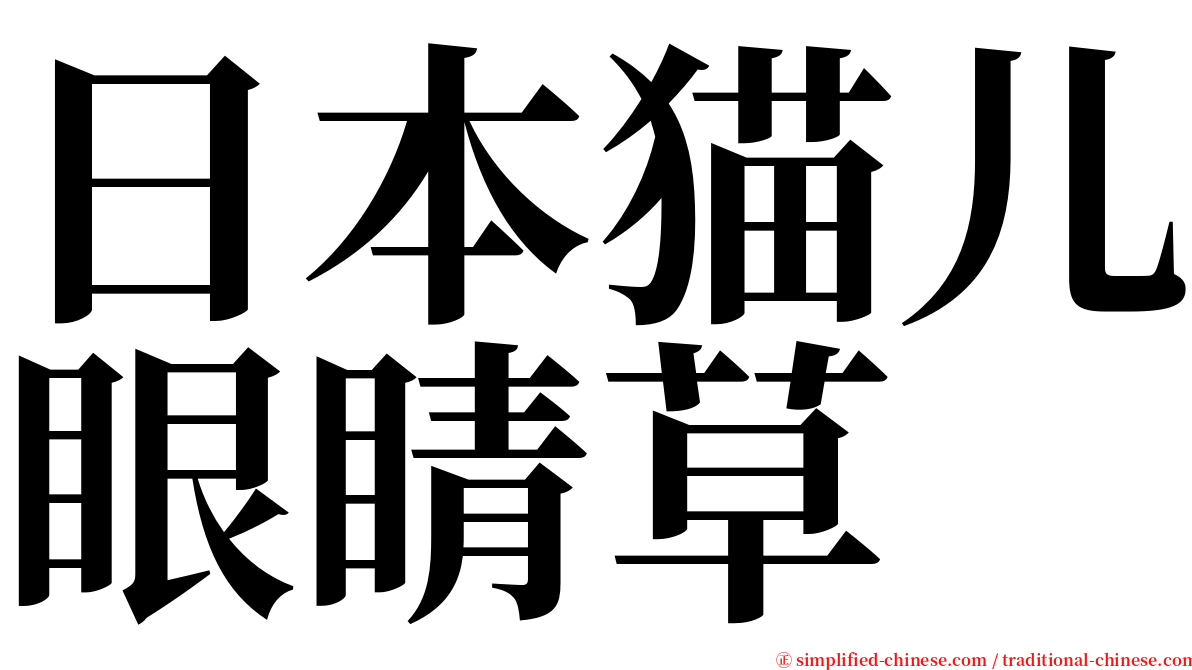 日本猫儿眼睛草 serif font