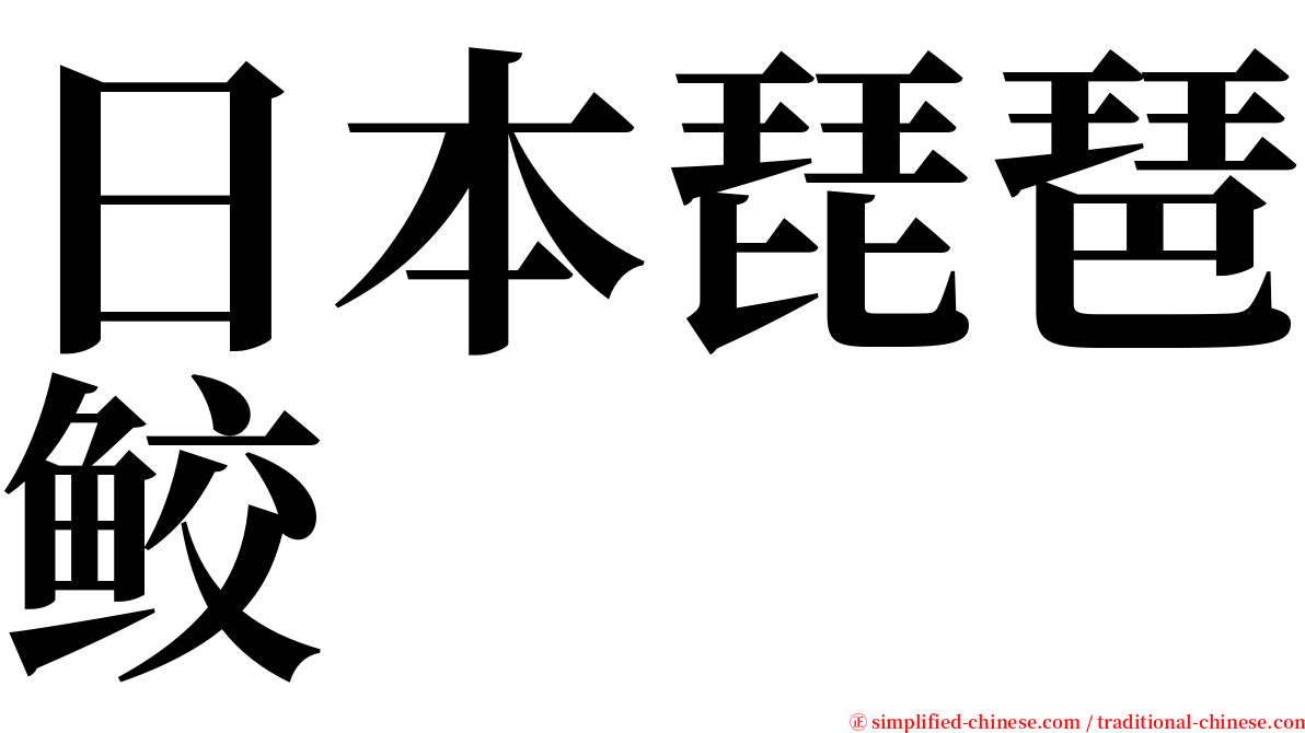 日本琵琶鲛 serif font