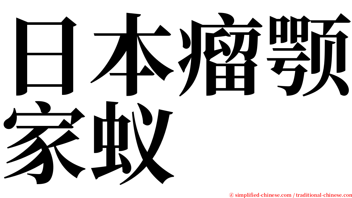 日本瘤颚家蚁 serif font