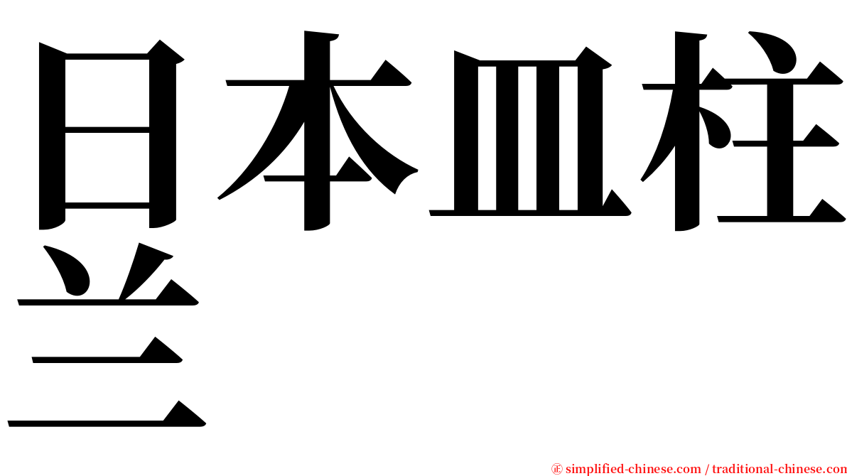 日本皿柱兰 serif font