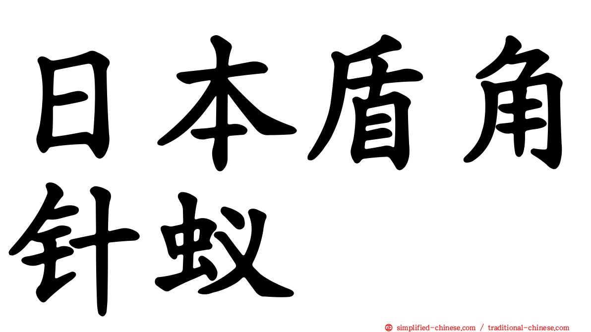 日本盾角针蚁