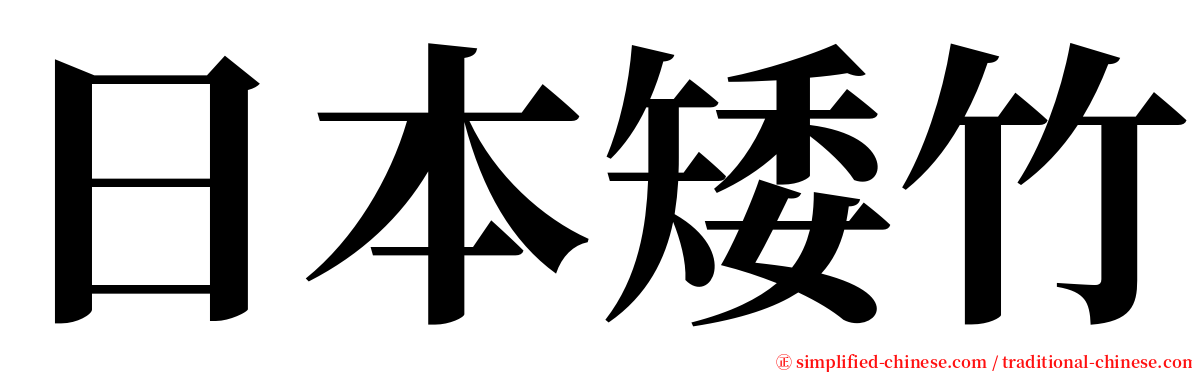 日本矮竹 serif font