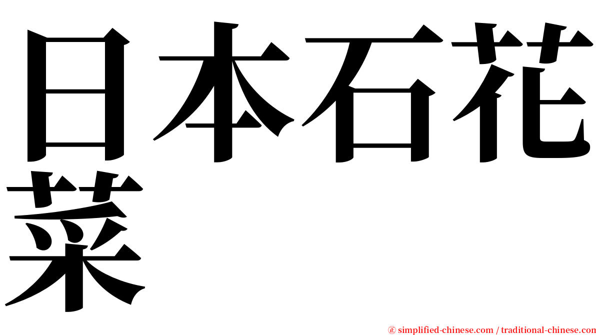 日本石花菜 serif font