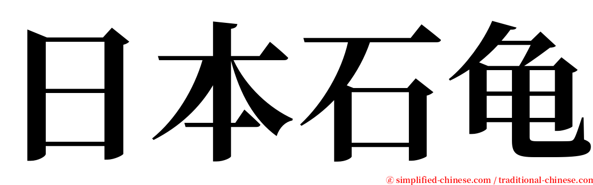 日本石龟 serif font