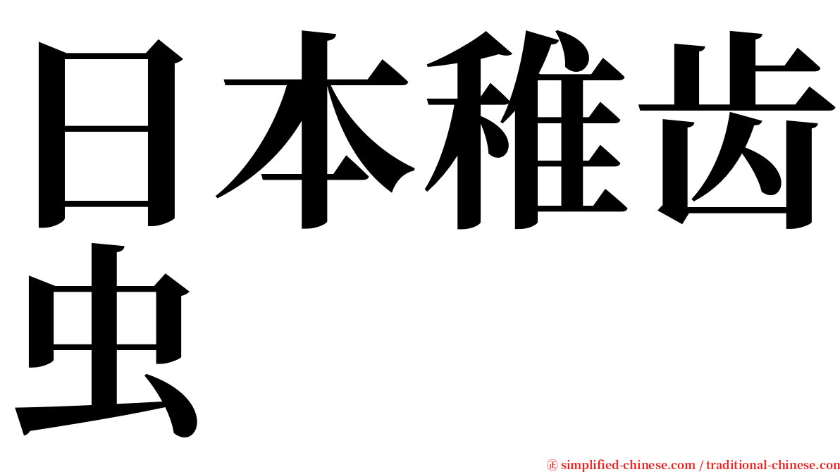 日本稚齿虫 serif font