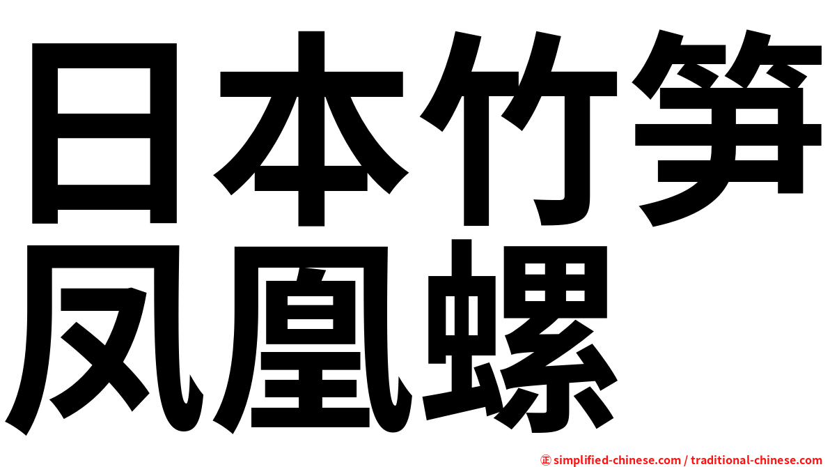 日本竹笋凤凰螺