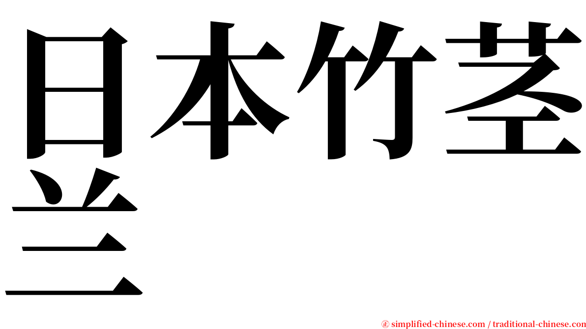 日本竹茎兰 serif font