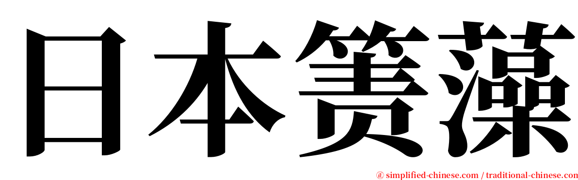日本箦藻 serif font