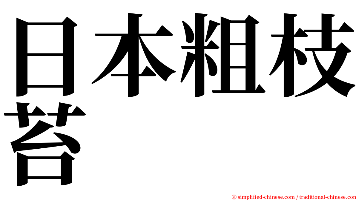 日本粗枝苔 serif font