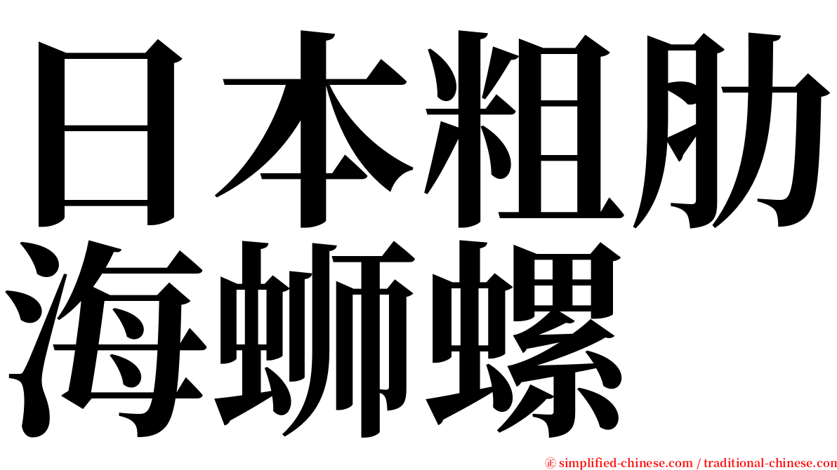 日本粗肋海蛳螺 serif font