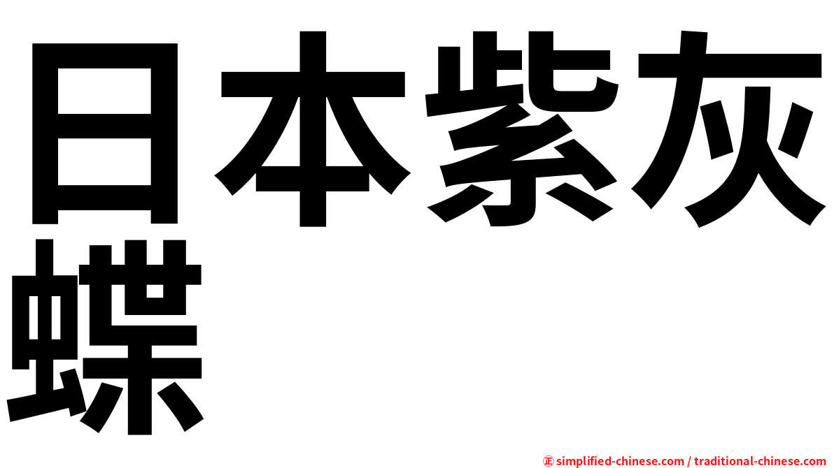 日本紫灰蝶