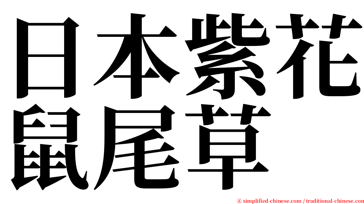 日本紫花鼠尾草 serif font