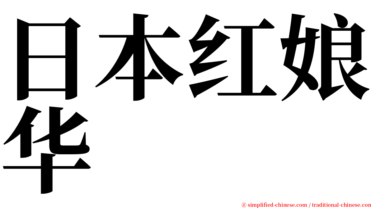 日本红娘华 serif font