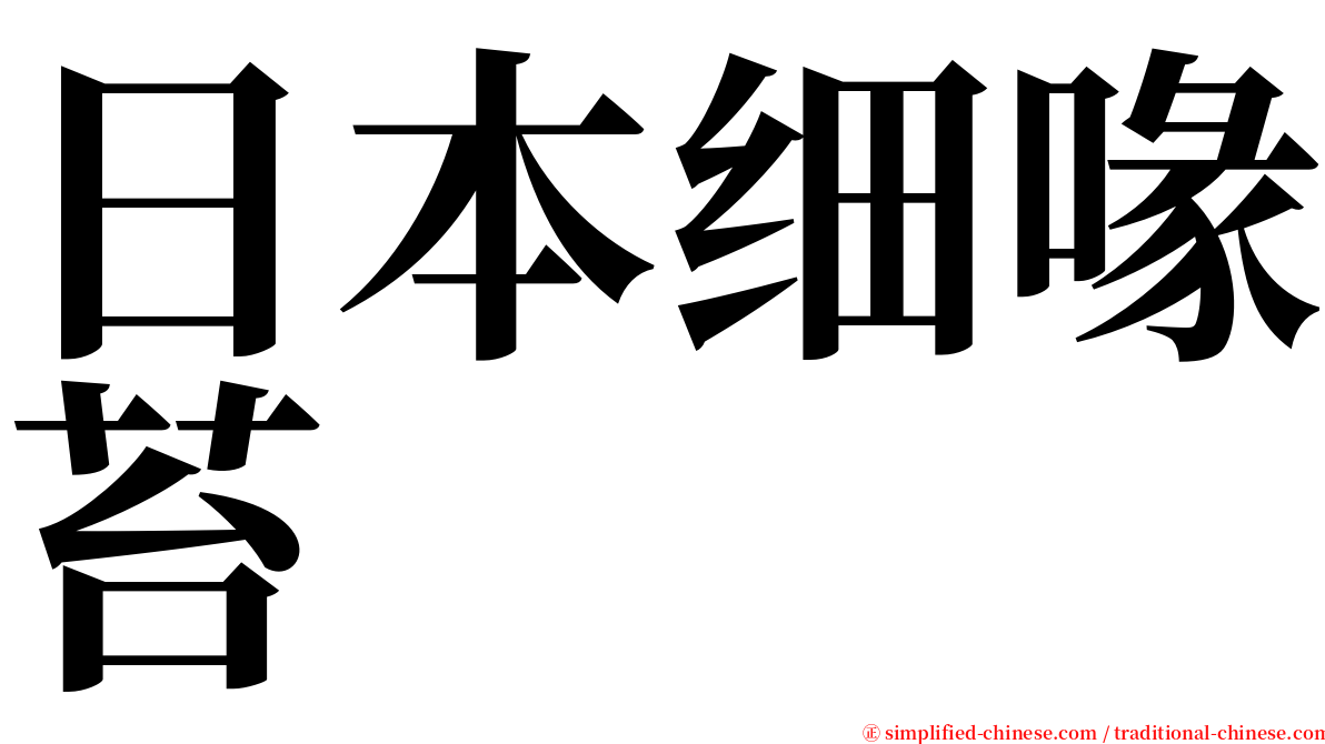 日本细喙苔 serif font