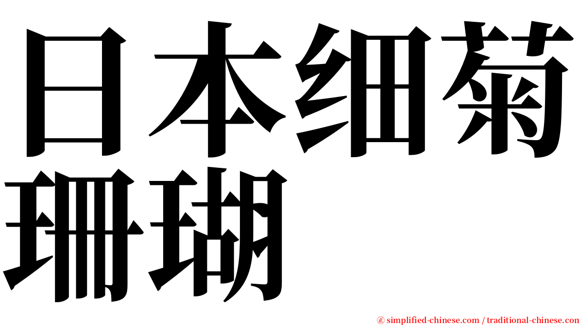 日本细菊珊瑚 serif font