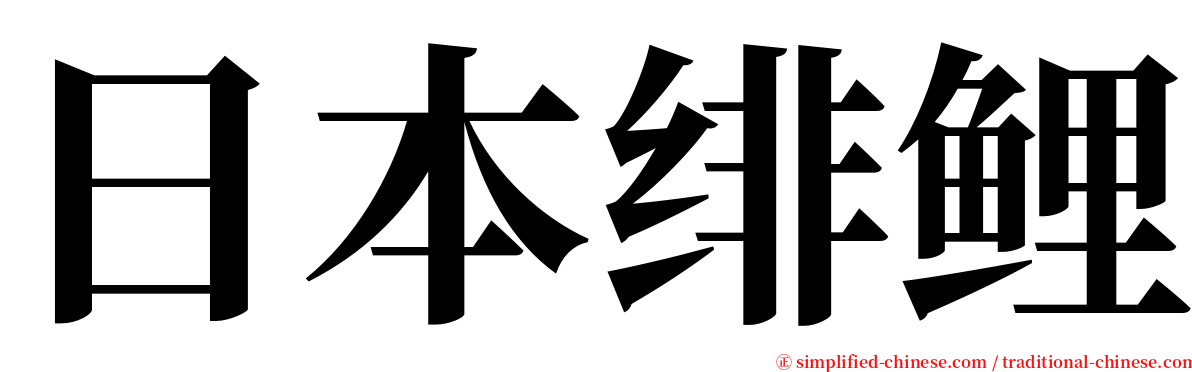 日本绯鲤 serif font