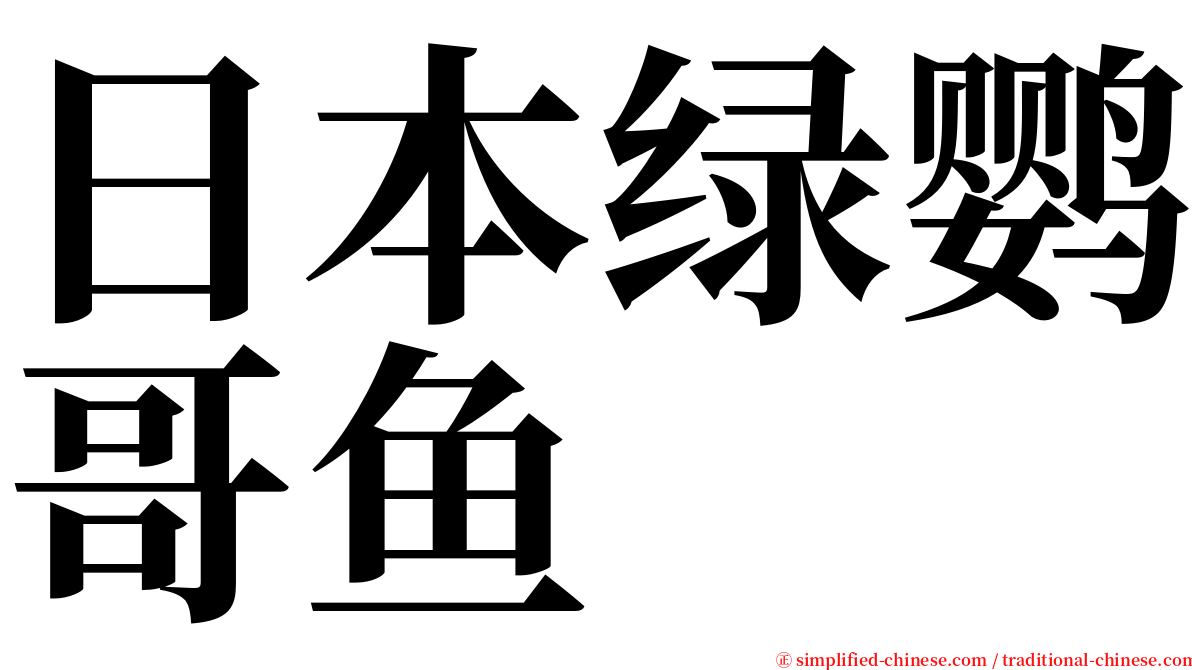 日本绿鹦哥鱼 serif font