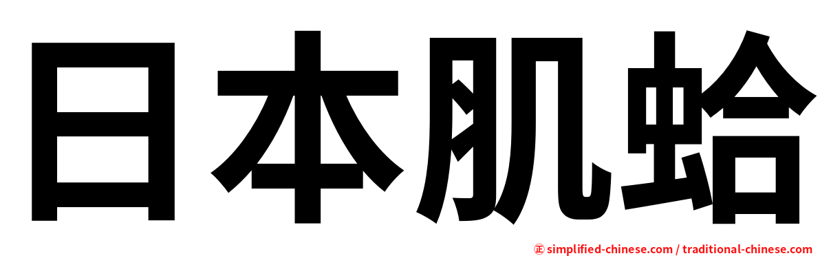 日本肌蛤