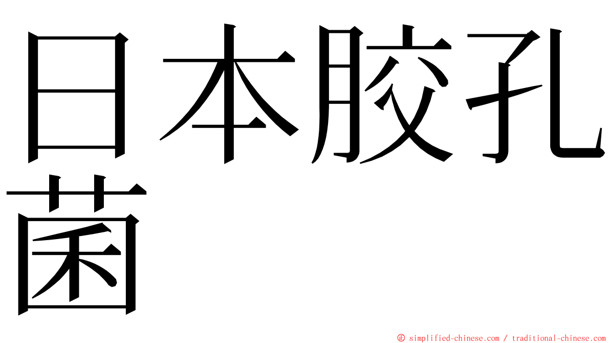 日本胶孔菌 ming font