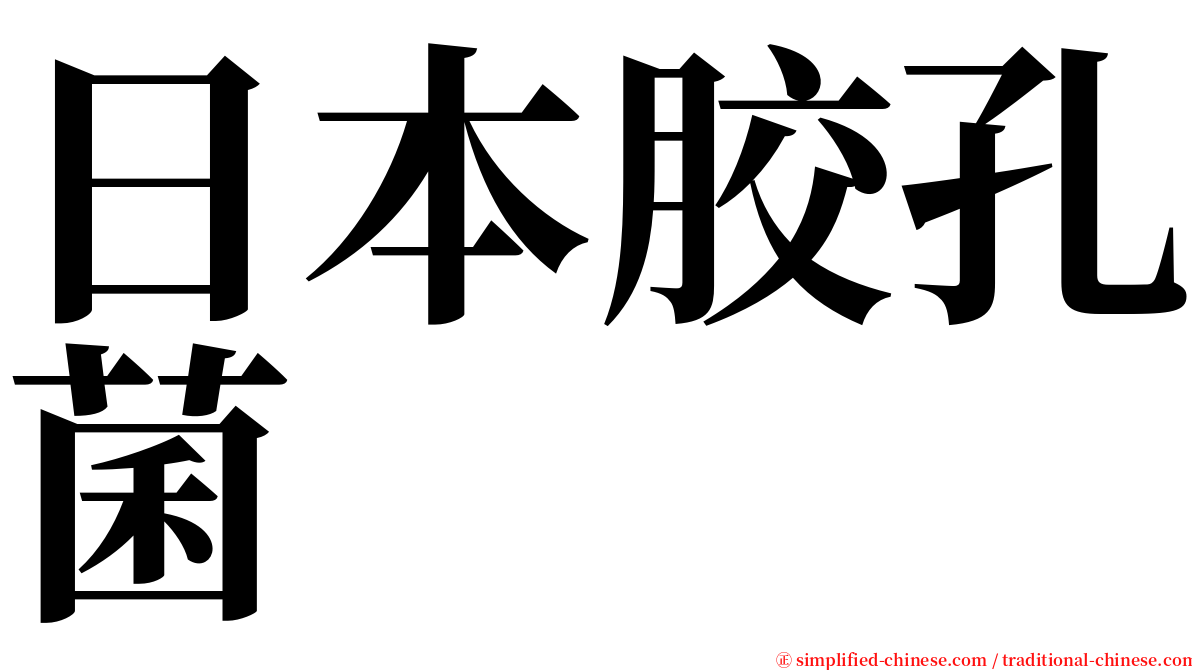 日本胶孔菌 serif font