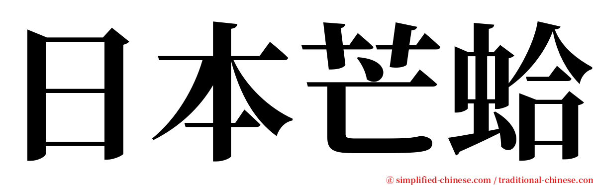 日本芒蛤 serif font