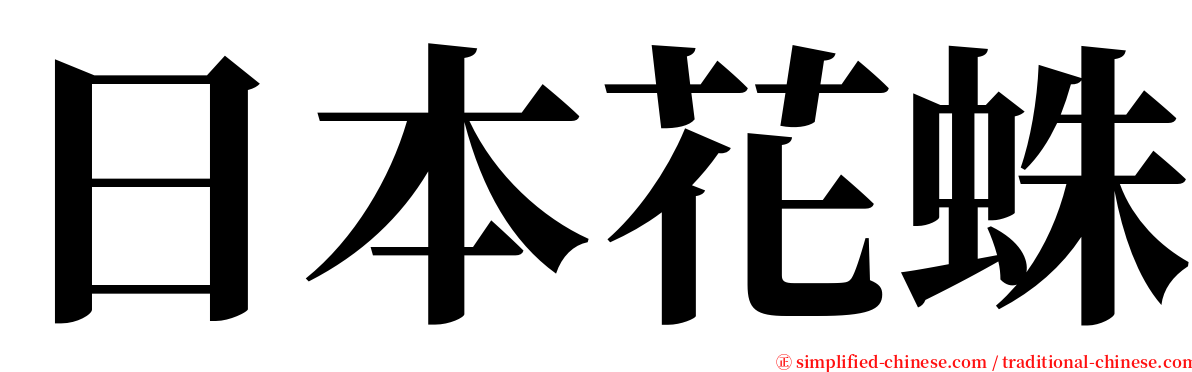 日本花蛛 serif font