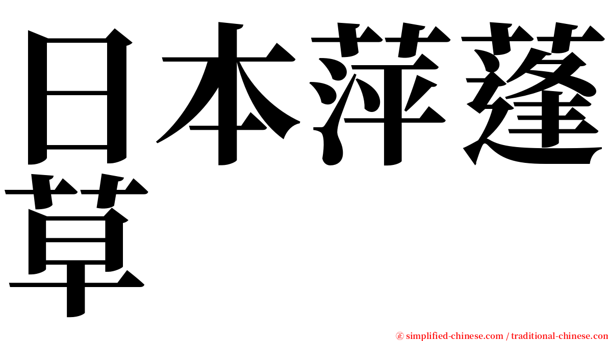 日本萍蓬草 serif font