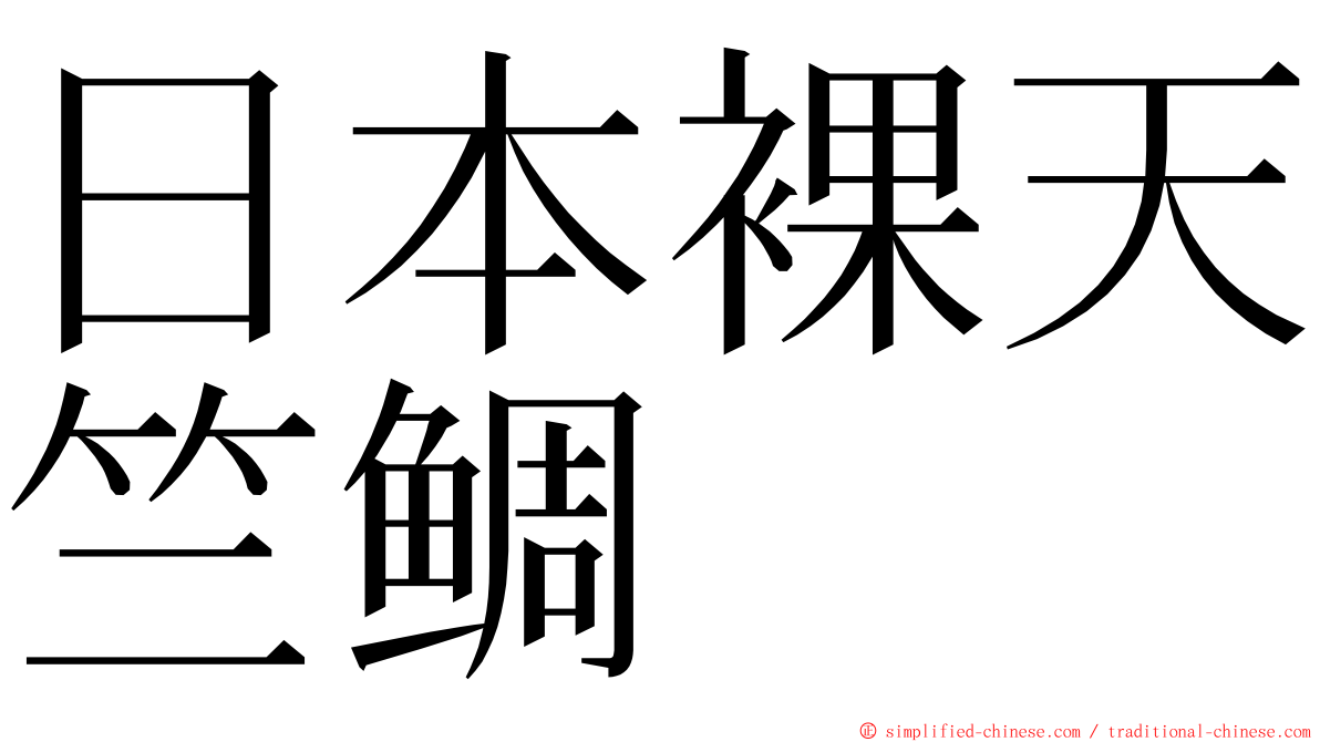 日本裸天竺鲷 ming font