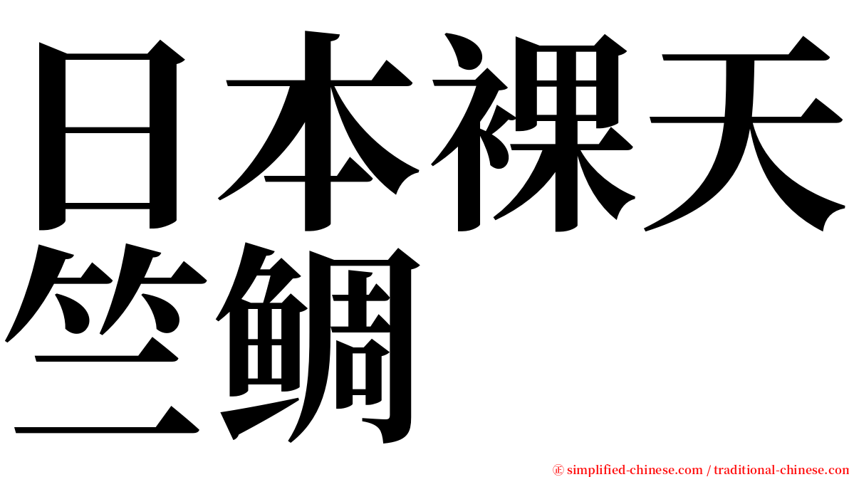 日本裸天竺鲷 serif font